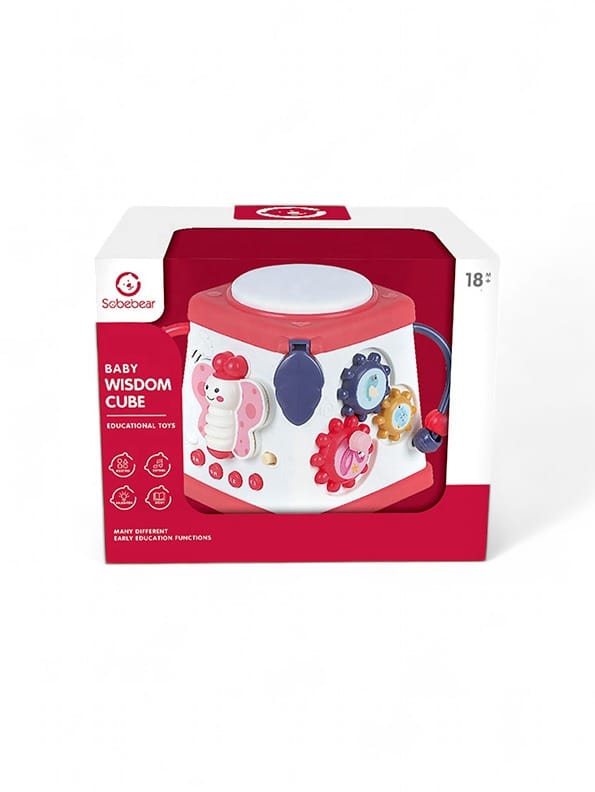 5 In 1 Activity Toy For kids - Pink (NX-AG-24) - Toyloft
