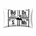 BDSM Satin Pillowcase with Hidden Zipper