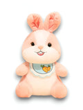 Cuddly Carrot Bunny – 10 inches Soft Plush Rabbit Long Ears & Carrot Outfit | Adorable Easter Gift for Kids - ST14509