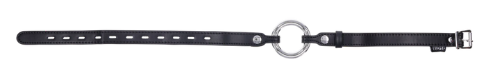 Edge Interchangeable Ring Gag