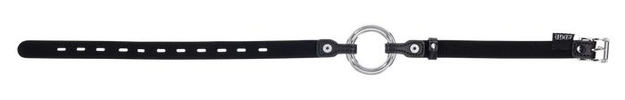 Edge Interchangeable Ring Gag