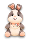Floral Bunny Plush – 10 inches Soft Stuffed Rabbit with Long Ears & Flower Outfit | Easter Gift for Kids – ST14509