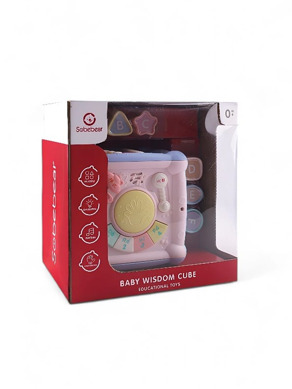 Multi-Function Music Toy For Kids (NX-AG-24) - Toyloft