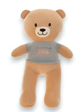 SnuggleCub - 10 Inch Teddy Bear Plush Toy |  Soft Cloth Doll for Kids & Girls Gift - MS14450