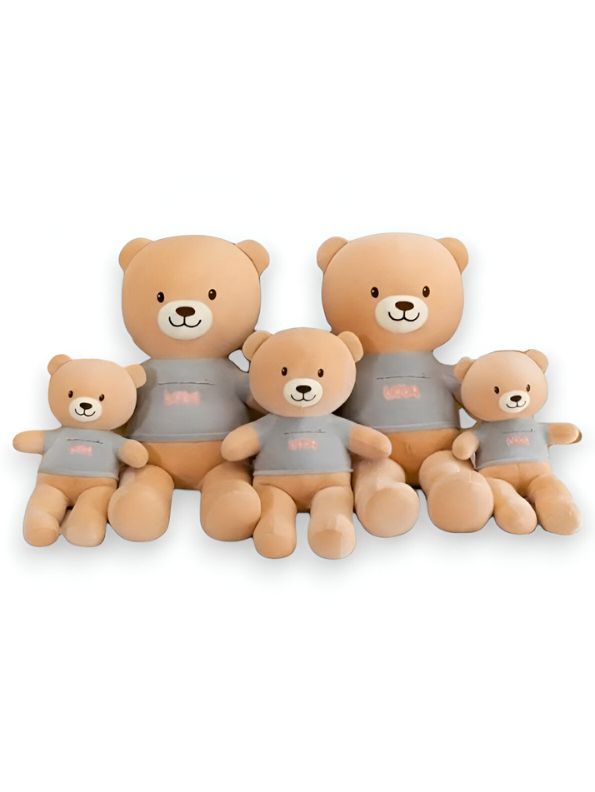 SnuggleCub - 10 Inch Teddy Bear Plush Toy |  Soft Cloth Doll for Kids & Girls Gift - MS14450